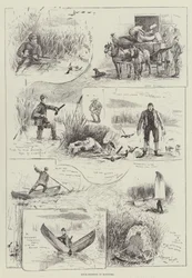 Duck-Shooting in Manitoba